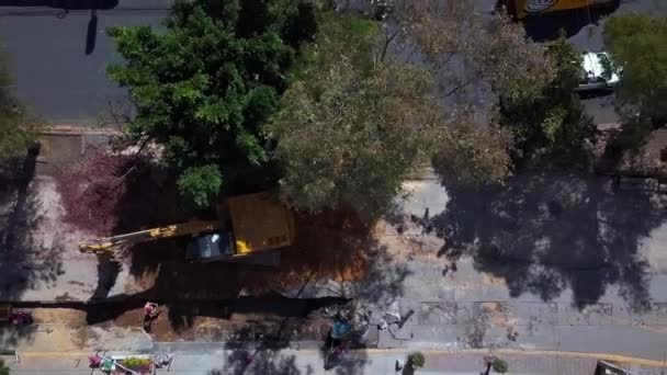 Vista aérea de uma escavadora escavando no canteiro de obras sob uma árvore — Vídeo de Stock