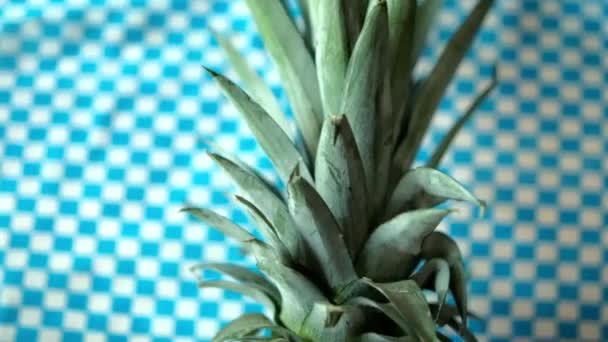 Świeży ananas na niebiesko-białym obrusie w kratkę — Wideo stockowe