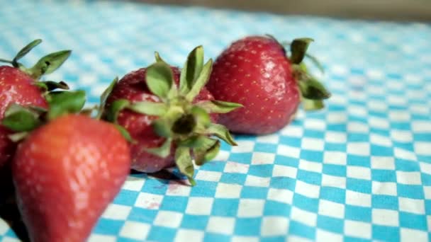 파란색 식탁보 위에 있는 신선 한 딸기 떼 — 비디오