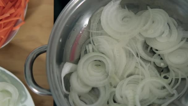 Onion slices in cooking pot next to plate of sliced carrot — Stock Video