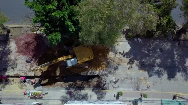 Vista aérea de uma escavadora escavando no canteiro de obras sob uma árvore — Vídeo de Stock