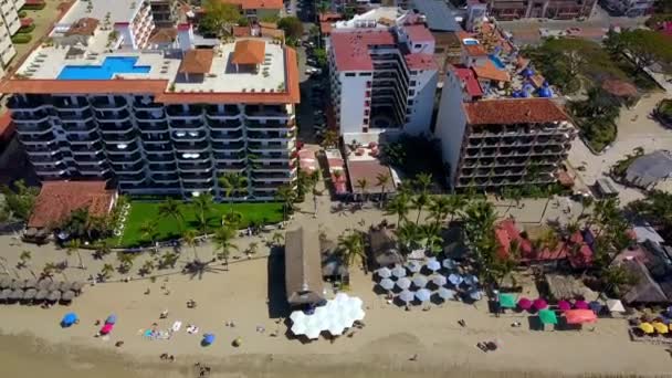 Belle vue aérienne sur les palmiers et les stations balnéaires à Puerto Vallarta, Mexique — Video