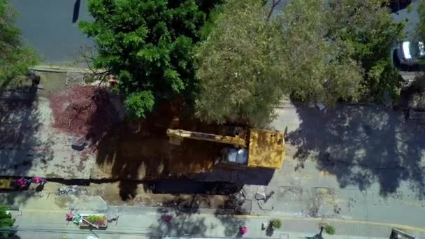 Luchtfoto van een graafmachine die graaft op een bouwplaats onder een boom — Stockvideo