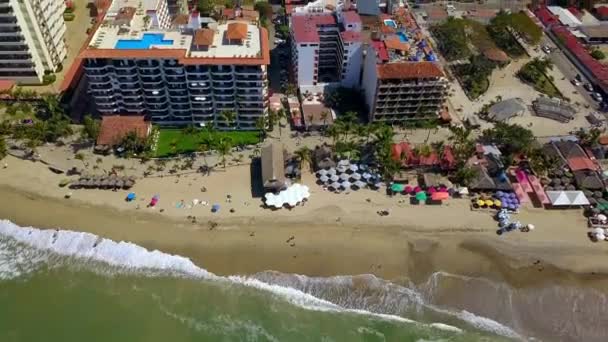 Hermosa vista aérea de palmeras y resorts en Puerto Vallarta, México — Vídeos de Stock