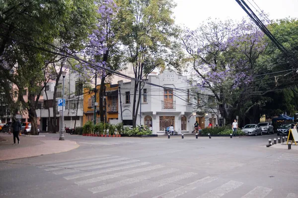 Класичний білий будинок, оточений деревами на розі вулиці від Мехіко. — стокове фото