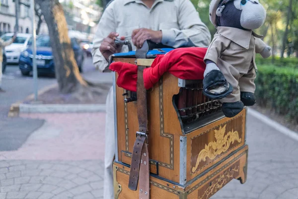 Mexico City 'den gelen geleneksel Meksikalı organ öğütücüsü