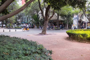 Mexico City 'den ağaçlarla çevrili kalabalık bir sokak.