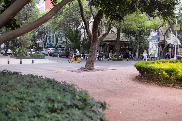 Rua lotada da Cidade do México cercada por árvores — Fotografia de Stock