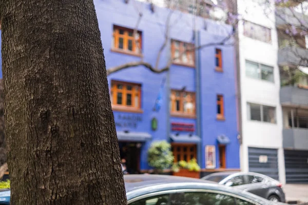 Lado da frente de um edifício azul embaçado de trás de uma árvore — Fotografia de Stock