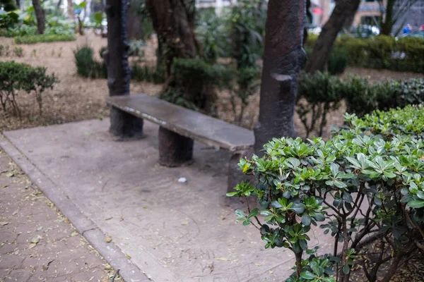 Rustic fatábla körül bokrok a parkban Mexikóvárosból — Stock Fotó