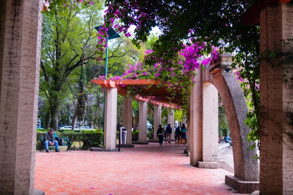 Corridor entouré d'arbres et sous pergola rouge dans le parc — Photo