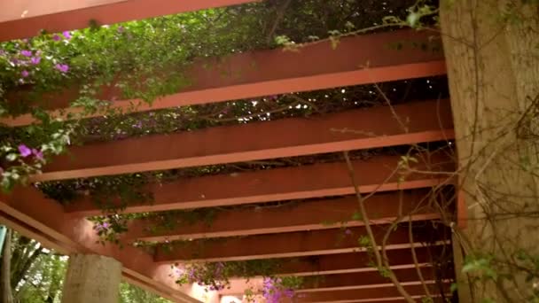 Pergola roșie acoperită cu viță de vie și flori violet — Videoclip de stoc