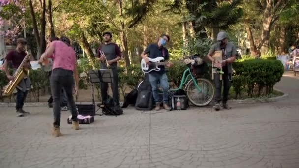 Fem musiker spelar glatt instrument i parken från Mexico City — Stockvideo