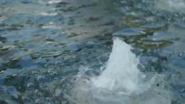 Arka planda ağaçlar olan kadın heykeli.