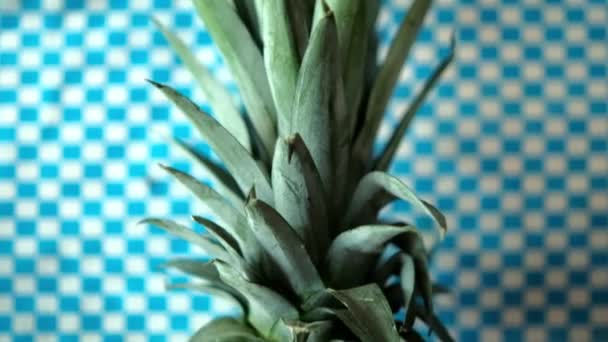 Świeży ananas na niebiesko-białym obrusie w kratkę — Wideo stockowe