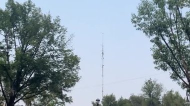 Mexico City 'de bir parkın ortasında büyük pembe mektuplar ve büfe.