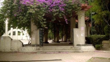 Güzel mor çiçeklerin altındaki gölgeli koridor girişi