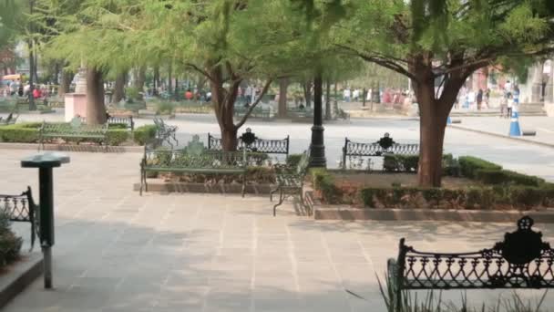 Bomen en groene banken in rustig park van Mexico City — Stockvideo