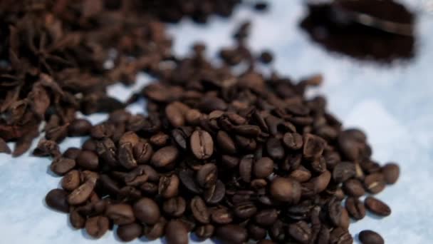 Små högar av kaffebönor och stjärnanis frön på vit yta — Stockvideo