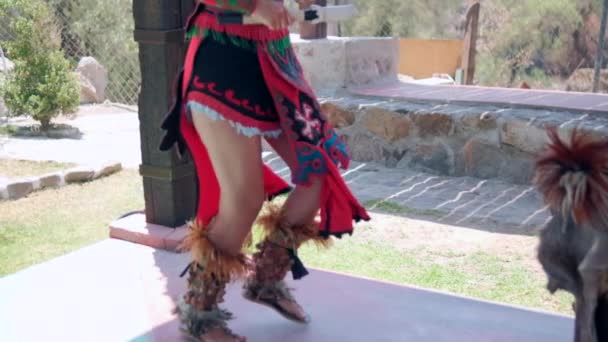 Танцовщица исполняет танец доиспанской культуры на фоне деревьев — стоковое видео