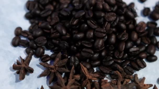 Pequenas pilhas de grãos de café e sementes de anis estrelado na superfície branca — Vídeo de Stock