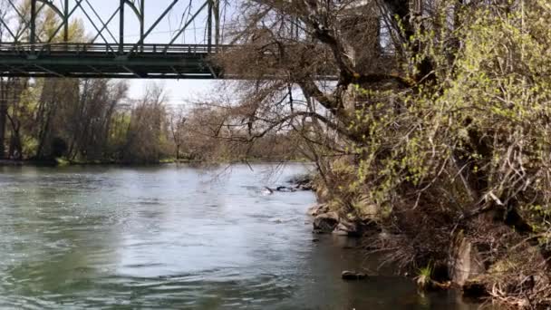 Indah pemandangan sungai dikelilingi oleh vegetasi kering dan di bawah jembatan — Stok Video