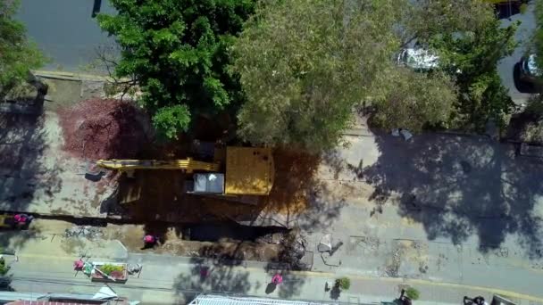 Вид з повітря на екскаватор, що копає на будівельному майданчику під деревом — стокове відео