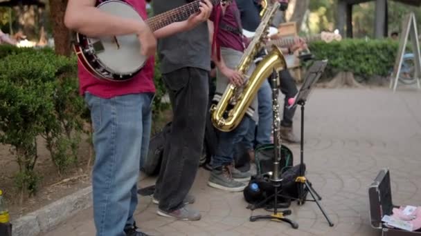 Fünf Musiker spielen im Park fröhlich Instrumente aus Mexiko-Stadt — Stockvideo