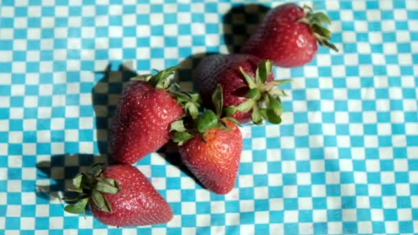 Gruppe frischer Erdbeeren auf einer blau karierten Tischdecke — Stockvideo