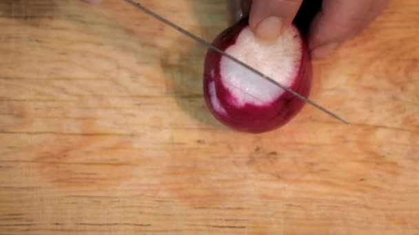 Mãos cortando rabanete fresco em uma tábua de corte — Vídeo de Stock