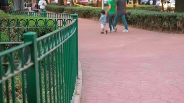 Békés kilátás az emberekre, akik nyugodtan sétálnak a parkban. — Stock videók