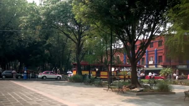 Klidný park z Coyoacan, Mexico City se stromy a vozidly jako pozadí — Stock video