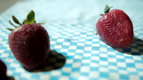 Paire de fraises fraîches sur une nappe à carreaux bleus — Video