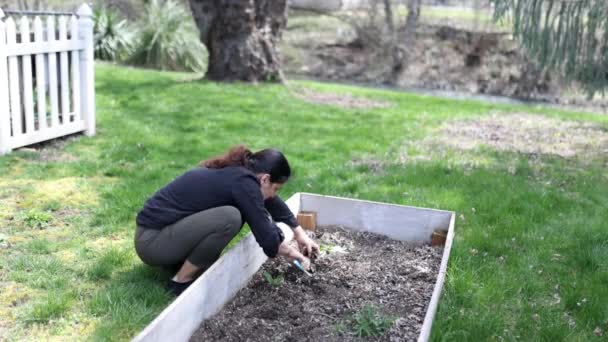 Schöne brünette Frau versteckt Ostereier in einer leeren Pflanzbox — Stockvideo