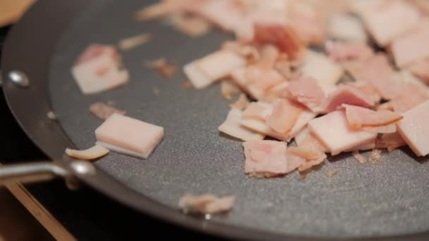 Daging kalkun cincang segar pada wajan bulat — Stok Video