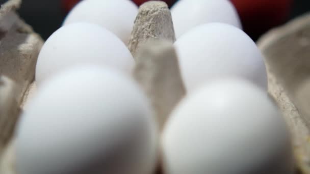 黒の背景の上に6個の卵を持つ手閉じるカートン — ストック動画