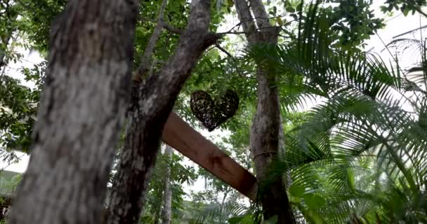 Coração pendurado feito com ramos cercados por árvores e folhas tropicais — Vídeo de Stock