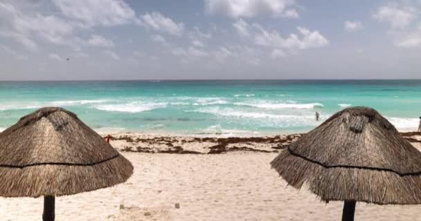 Hermosa vista de sombrillas de palma en la playa con el océano ondulado como fondo — Vídeos de Stock