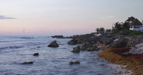 Erstaunlicher Blick auf Sargassum am Strand unter wunderschönem Sonnenuntergang — Stockvideo