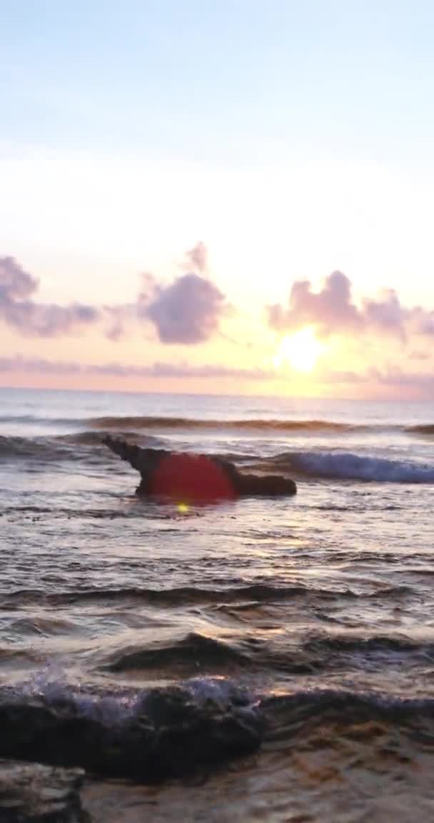 美丽的落日和波涛汹涌的大海让人惊叹不已 — 图库视频影像