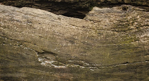 Textura Madeira Velha Torcida Fundo Árvore Danificada Polvilhado Com Flocos — Fotografia de Stock