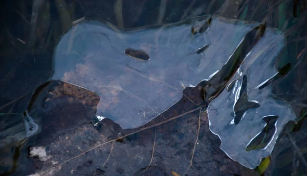 Brown Leaves Frozen Ice River Winter Cold Gloomy Landscape — Stock Photo, Image