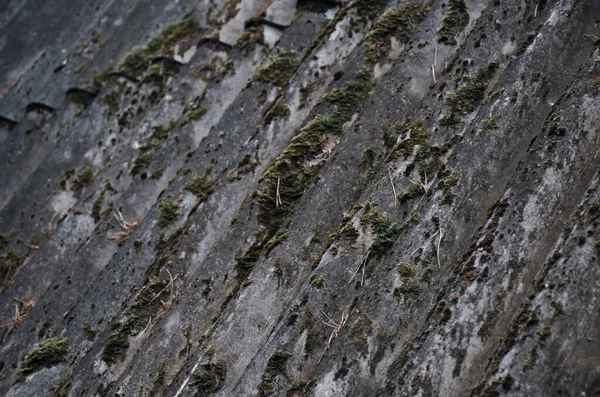 Antigo Telhado Ardósia Coberto Com Musgo Verde Folhagem Seca Conceito — Fotografia de Stock