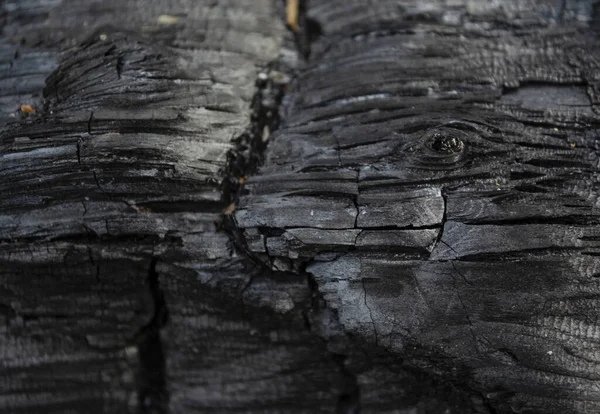 Cendres Feu Naturelles Avec Texture Charbon Noir Gris Foncé Est — Photo
