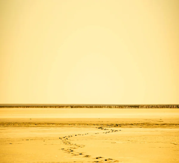 Footsteps in the desert. Surface of a light flat sand desert, covered with small ripples. A contrast trace of human steps going further to gorizont. Concept background of extremally travel