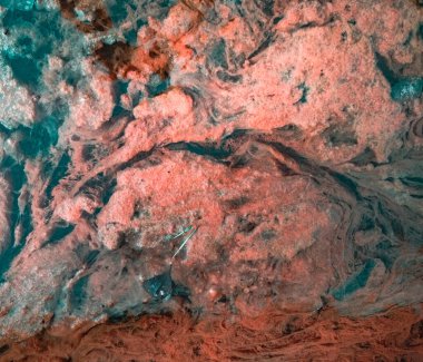 Suyun yüzeyinde kırmızı algler var. Arka plan ya da doku olarak çiçek açan su