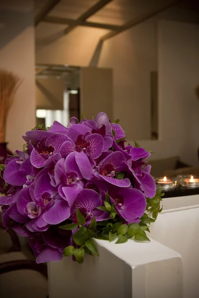 Buquê de orquídeas rosa — Fotografia de Stock