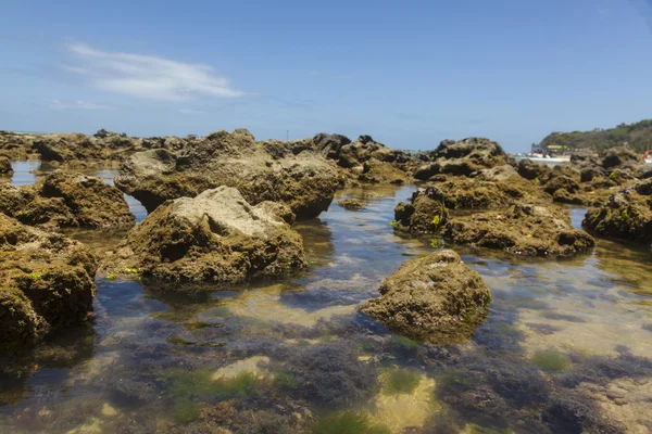 Reef on a Brazilian Beach — Stock Photo, Image