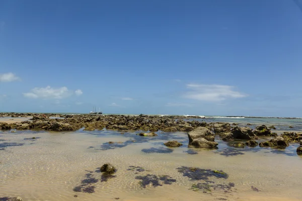 Barriera corallina su una spiaggia brasiliana — Foto Stock
