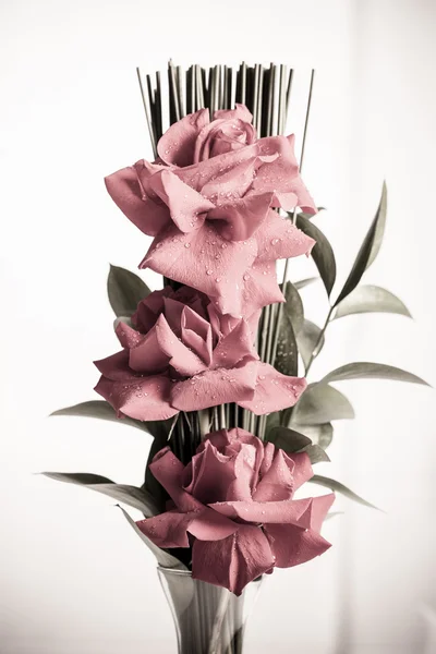 Disposición de rosas — Foto de Stock